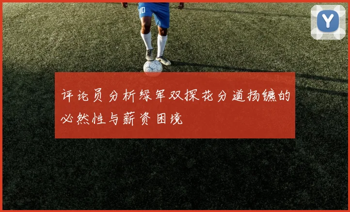 评论员分析绿军双探花分道扬镳的必然性与薪资困境